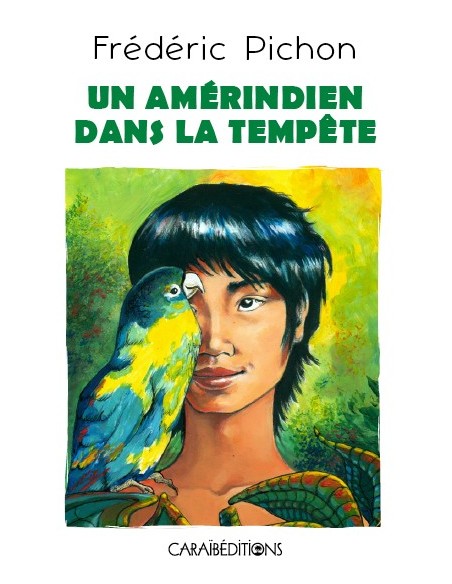 Un Amérindien dans la tempête